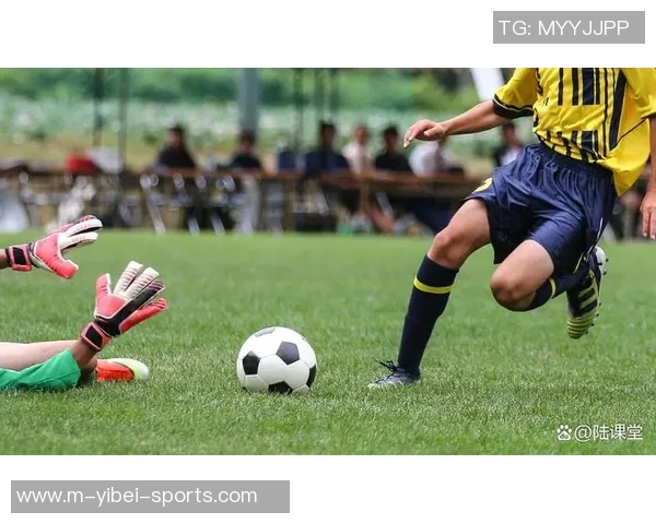 足球大师特性与鸟笼的奇妙结合探讨与启示